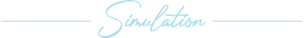 Simulation
